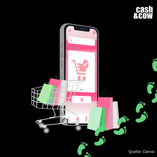 Ethisches Online-Shopping: Tipps für nachhaltigen Konsum in der digitalen Welt